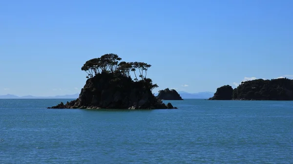 Ağaçlar Abel Tasman Ulusal Parkı ile arka yaktı ada — Stok fotoğraf