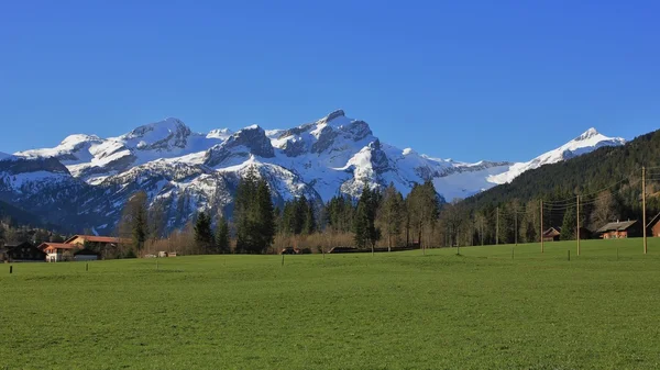 Sneeuw bedekte bergketen en de groene weide — Stockfoto