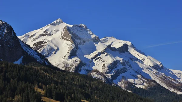 春の雄大な Mt Oldenhorn — ストック写真