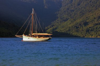 Marlborough seslerin bir koyda yelkenli tekne