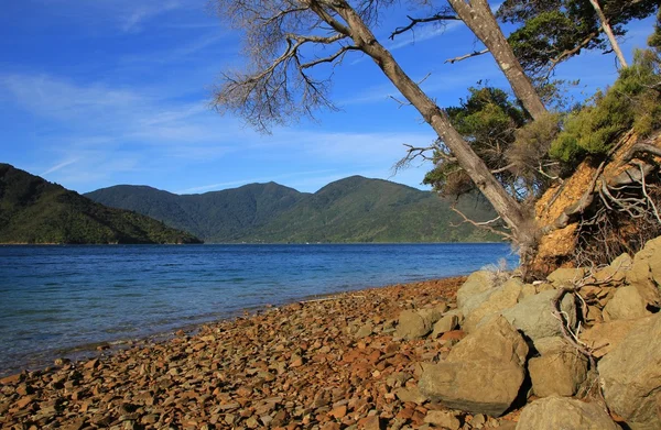 Entrada Endeveaour, bahía en el Marlborough Sounds — Foto de Stock