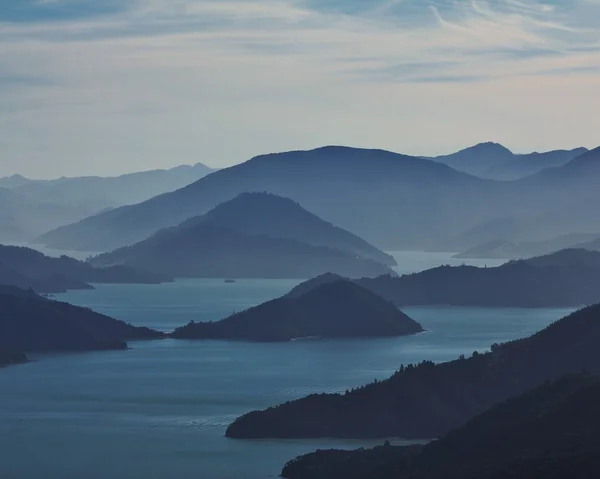 Yeni Zelanda'da yerli bush