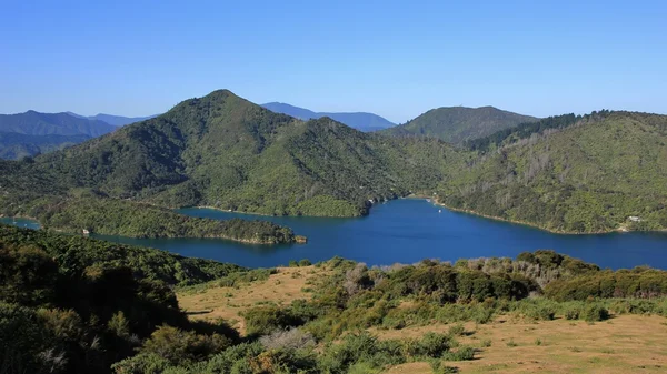 Görünüm evden gelen Kraliçe Charlotte, Yeni Zelanda — Stok fotoğraf