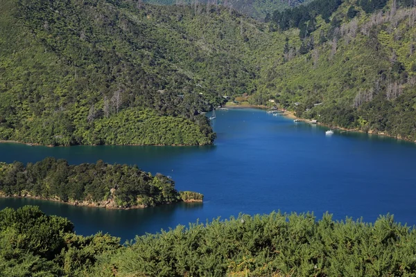 Marlborough sesler, Onahau Bay sahne — Stok fotoğraf