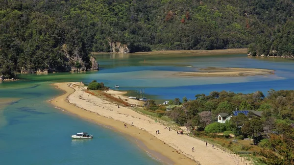 Sel Bay, Abel Tasman Ulusal Parkı Telifsiz Stok Imajlar