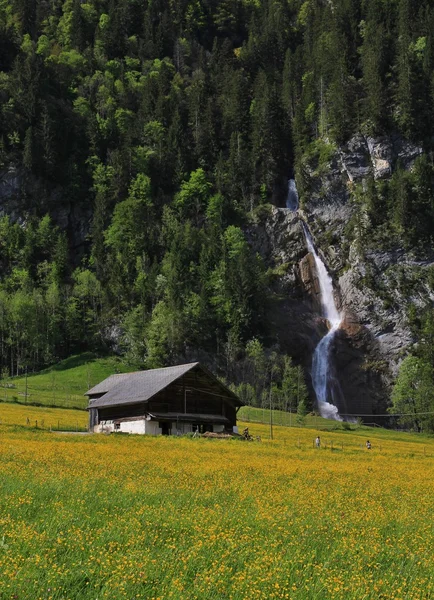 Scena wiosna w dolinie Kloental — Zdjęcie stockowe