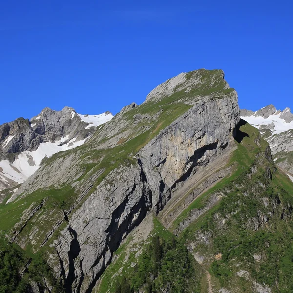 Almhütte im Alpsteinmassiv — Stockfoto