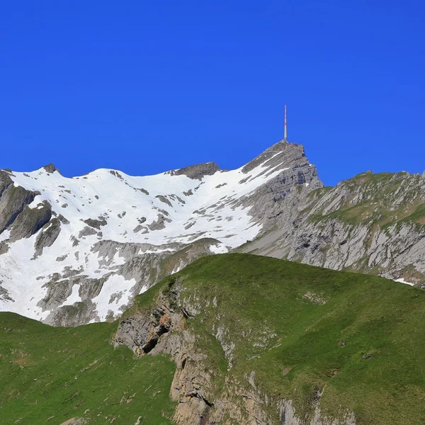 Mt Santis in spring — Stock Photo, Image