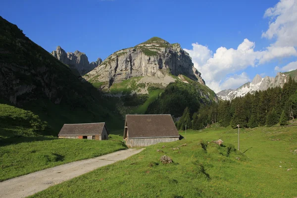 Saxer första, berg i cantonen Appenzell — Stockfoto