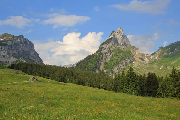 Horské oblasti Alpstein v létě — Stock fotografie