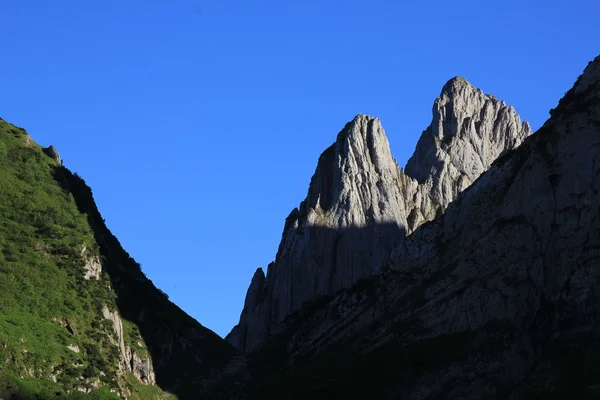 Alpstein の範囲の山 — ストック写真