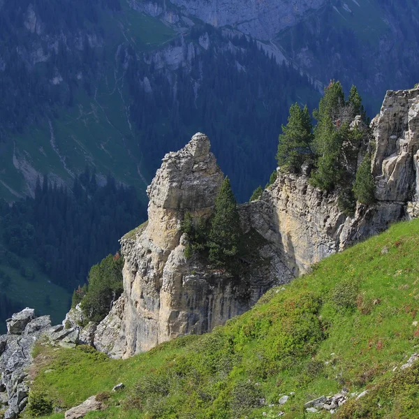 Cliffs on Mt Niederhorn — Fotografie, imagine de stoc