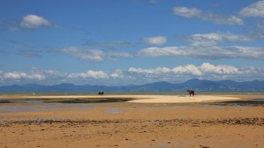 Yaz günü Marahau Plajı'nda