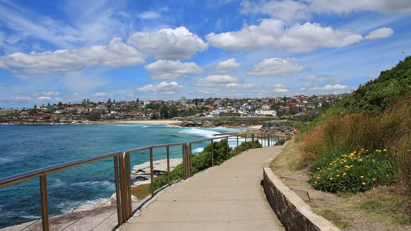 TamArama kumsala, Sydney lider yolu