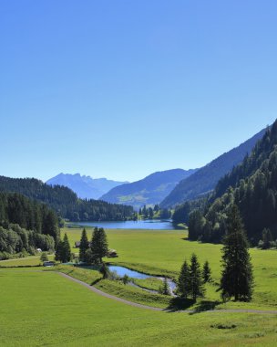 Pastoral Obersee Gölü ve yeşil çayır