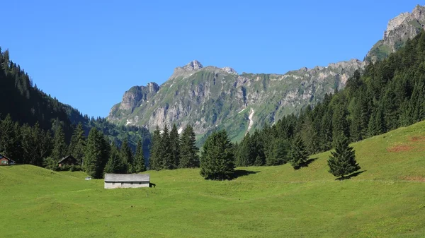 Pradera verde, bosque y montañas en el Oberseetal — Foto de Stock