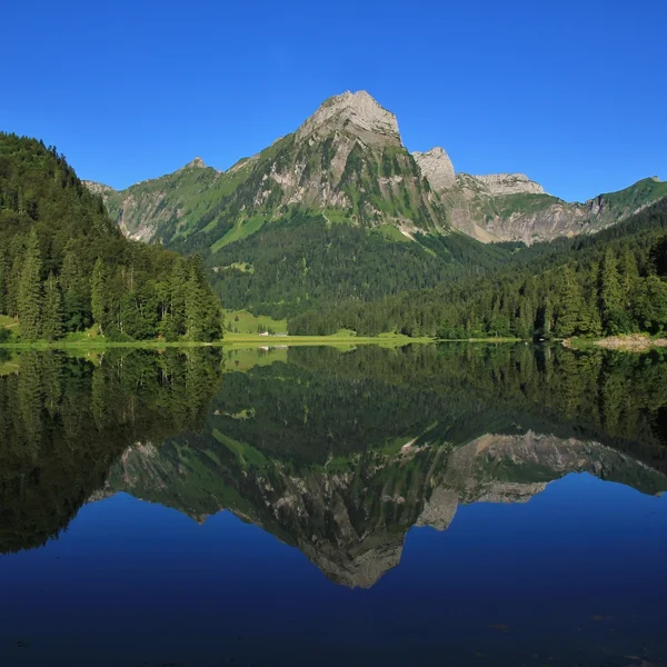 Letní den na jezero Obersee — Stock fotografie