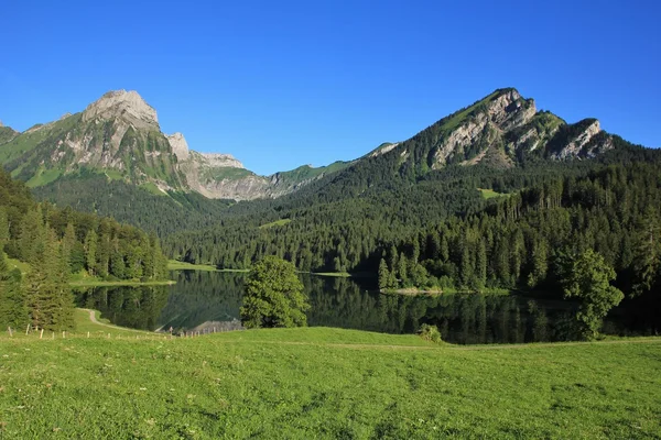 Idyllic lake Obersee and Mt Brunnelistock — Stock Photo, Image