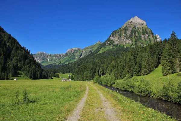 Liggend op de weg van lake Obersee naar lake Kloentalersee — Stockfoto