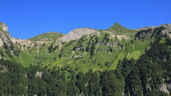 Strmé zemědělské půdy v kantonu Glarus, Švýcarské Alpy — Stock fotografie