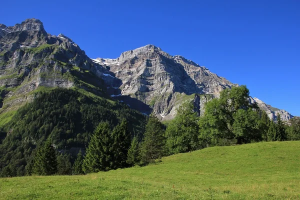 从 Schwammhoehe 山格莱尼施山 — 图库照片