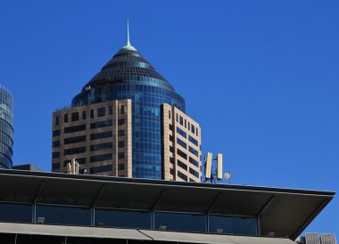 Sydney bir gökdelenin tepesine