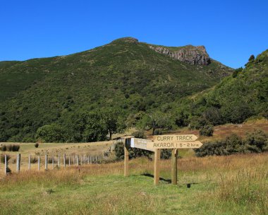Taşlı tepe, dağ Akaroa yakınındaki