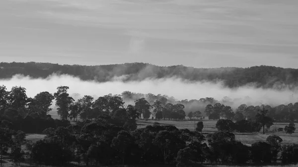 Lifting morning fog — Stock Photo, Image