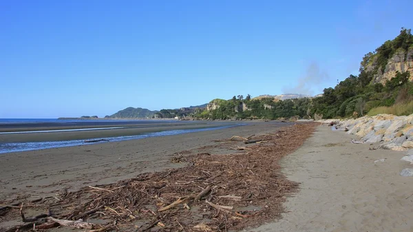 Dalgaların karaya attığı odun, Pohara Beach, Yeni Zelanda — Stok fotoğraf