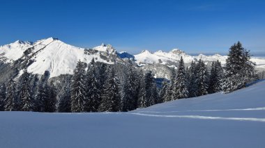 Gstaad yakınındaki dağlarda kar kaplı