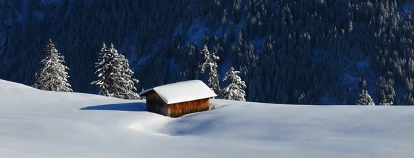 Giornata invernale nell'Oberland Bernese — Foto Stock