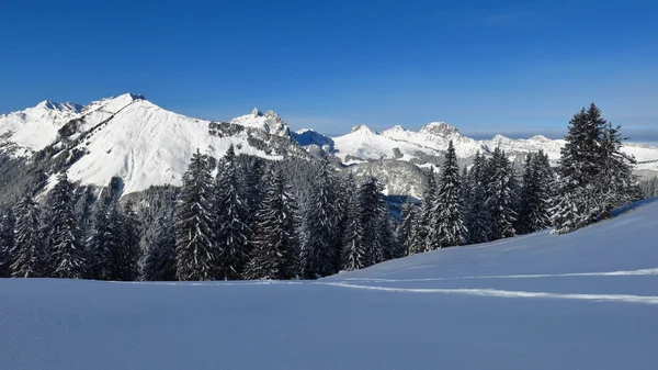 グスタードの近くの山が雪に覆われています。 — ストック写真