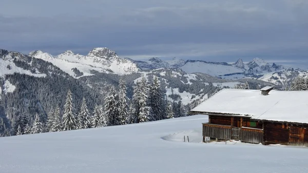 Снежный пейзаж и старая деревянная хижина — стоковое фото