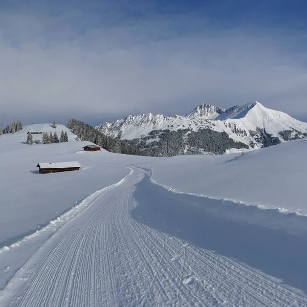 冬天里远足和雪橇步道和 Mt Lauenenhorn — 图库照片