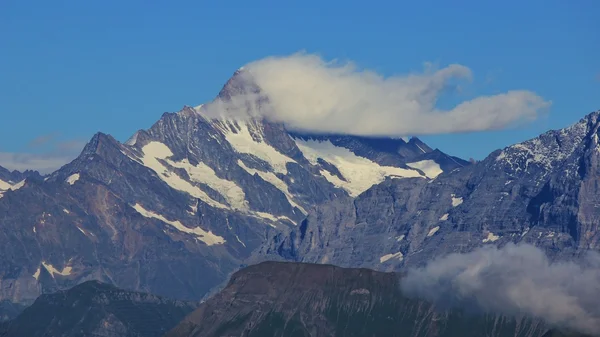 Mt Finsteraarhorn in summer — Stock Photo, Image