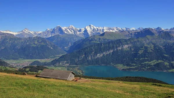 Dia de verão em Bernese Oberland — Fotografia de Stock