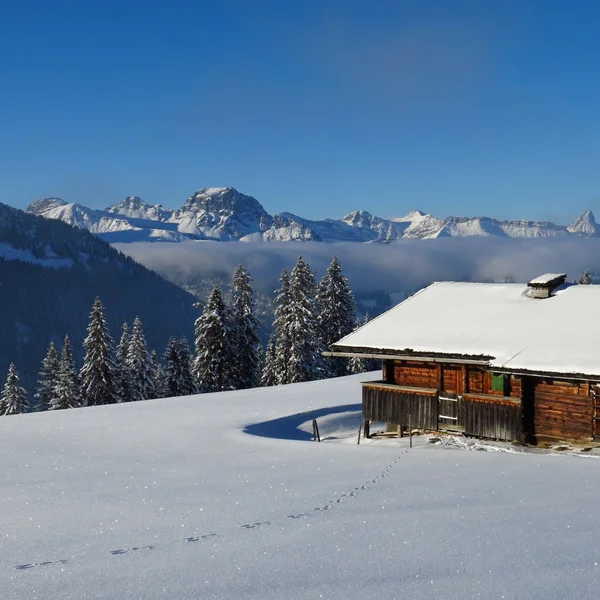 Winter scene on Mt Wispile, Gstaad — Stock Photo, Image