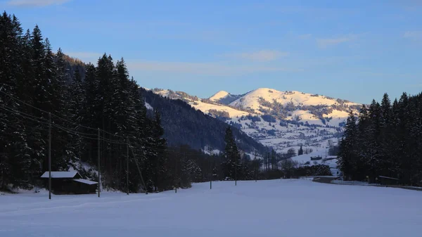 Scena Mattutina Invernale Nella Valle Del Saanenland Svizzera — Foto Stock