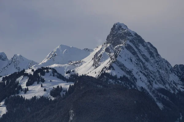 Rubli Berg Vanaf Horneggli Zwitserland — Stockfoto