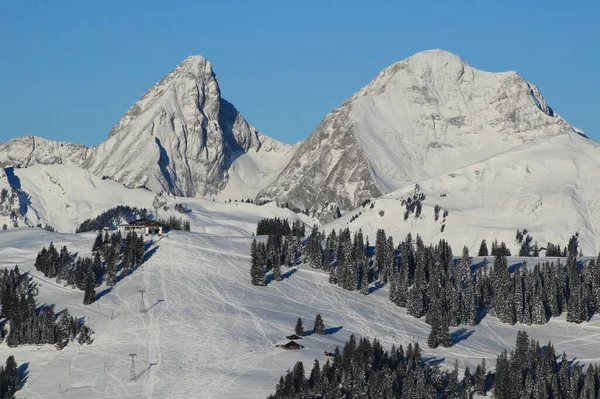 ローチャー レイアーズとレラーリ スイスアルプスの山 — ストック写真
