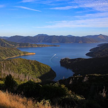 Endeavour körfezi, Queen Charlotte Sound 'da. Yeni Zelanda.