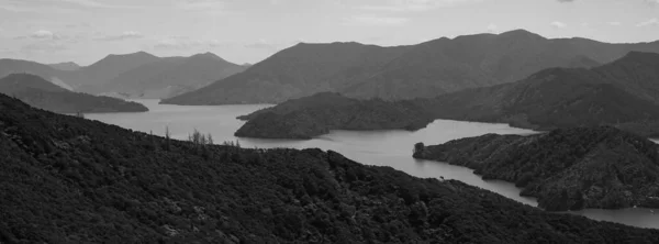 新西兰马尔博罗声音中的景观 — 图库照片