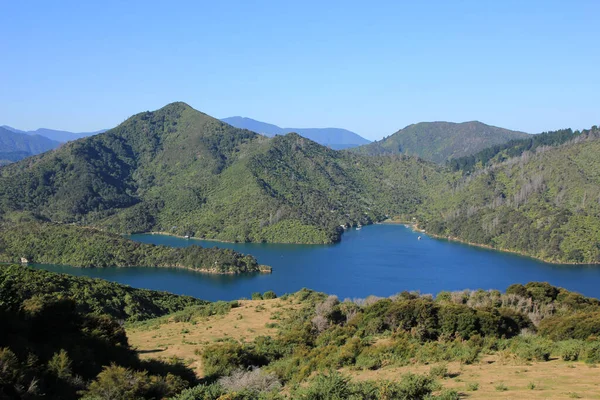 Marlborough Daki Bay Dağ Sesleri — Stok fotoğraf