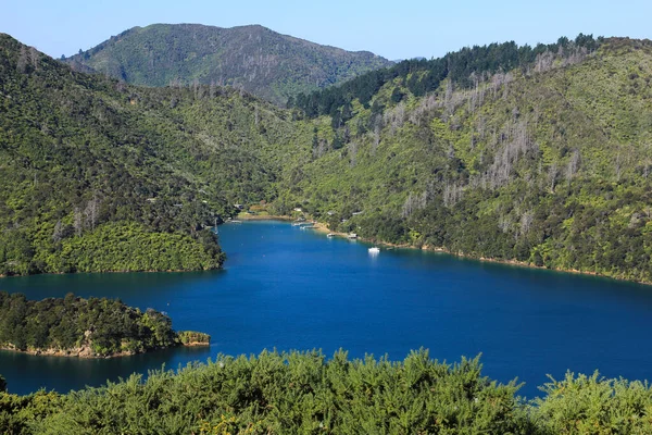 Queen Charlotte Sound Blue Bay — Stok fotoğraf