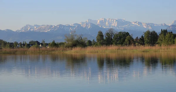 Orilla Del Lago Pfaffikon Cordillera Cubierta Nieve —  Fotos de Stock