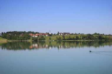 Pfaffikon Gölü kıyısında, Zürih Kantonu 'nda yaz sabahı gibi rüya gör..
