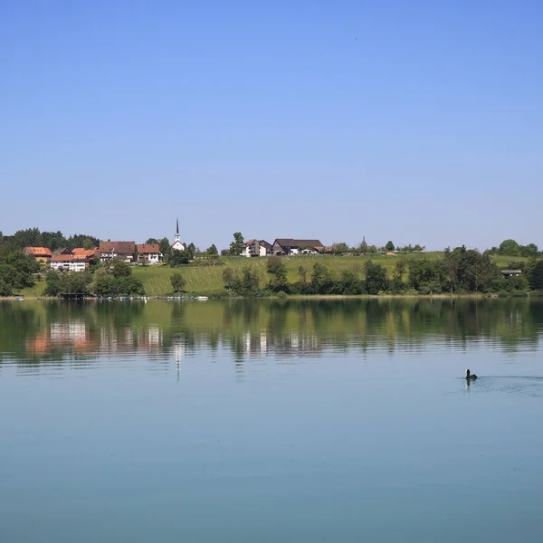 Conto Fadas Como Manhã Verão Margem Lago Pfaffikon Zurique Cantão — Fotografia de Stock