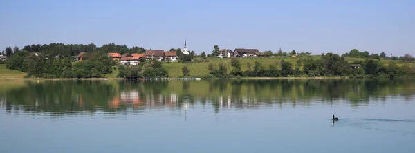 Sni Jako Letní Ráno Břehu Jezera Pfaffikon Curych Canton — Stock fotografie