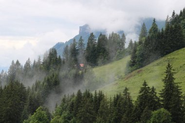 Fog creeping up a mountain side. Distant view of Mount Augstmatthorn.