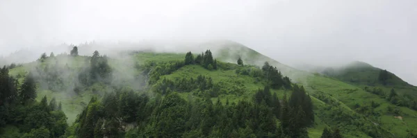 Fog Creeping Green Mountain Meadows Mystic Scene Bernese Oberland Rainy — Foto de Stock